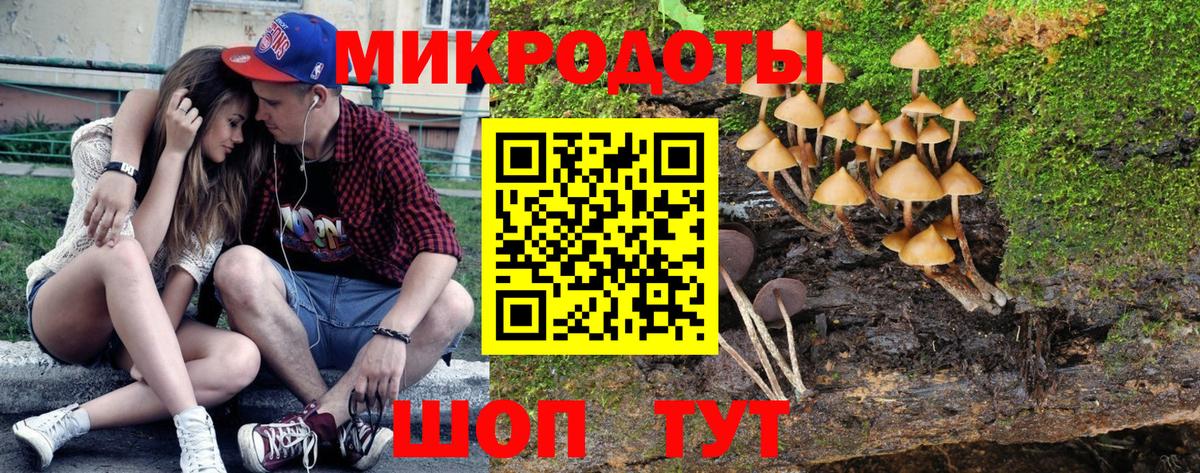Псилоцибиновые грибы мухоморы Северск