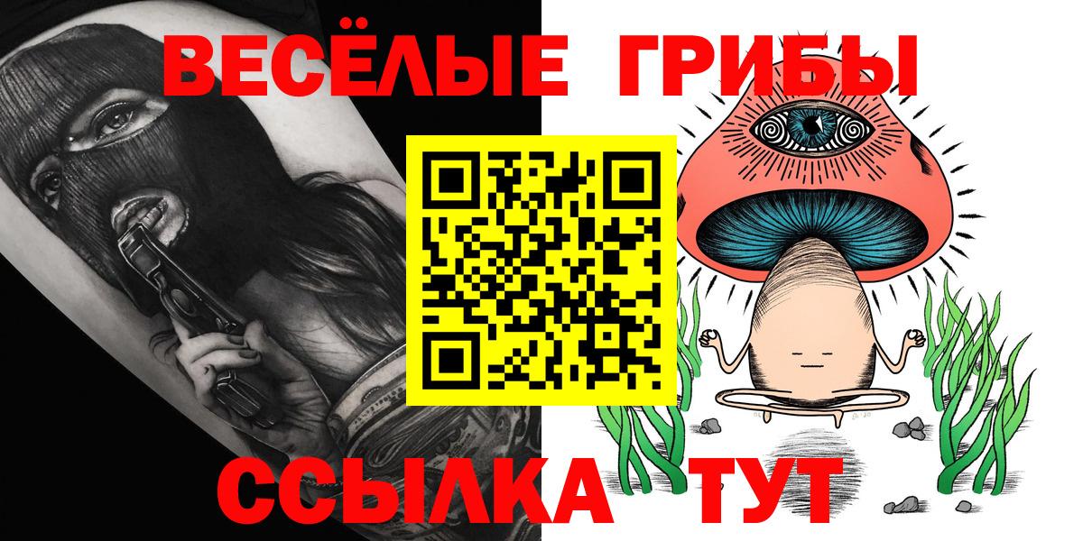 Северск  Псилоцибиновые грибы прущие грибы  Псилоцибиновые грибы Magic Shrooms  Вход с VPN 